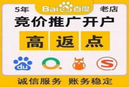 SEM代理实战：成功案例分享与经验总结